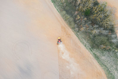 High angle view of man walking on beach