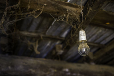 Close-up of light bulbin a barn