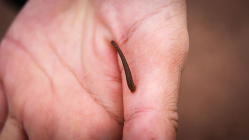 Close-up of hand