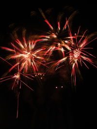 Low angle view of firework display at night