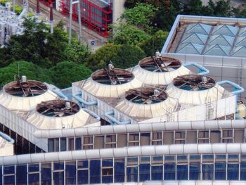 Birds perching on building