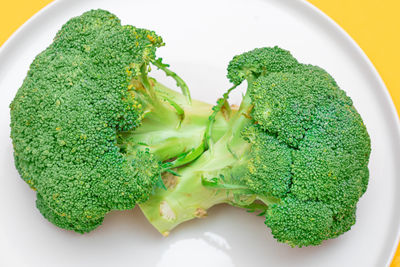 High angle view of green vegetables on table