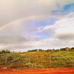 Scenic view of field against rainbow in sky