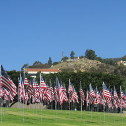 Various flags on field against clear blue sky