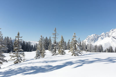Picturesque winter landscape. austrian alps