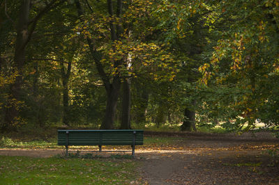 Bench by trees in park