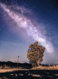 Trees on landscape against star field at night