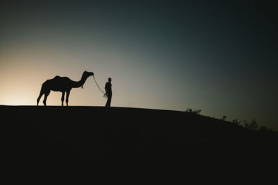 Silhouette person and camel against sky during sunset