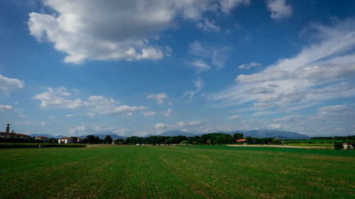 Scenic view of agricultural field against sky