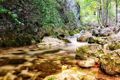 Stream flowing through rocks in forest