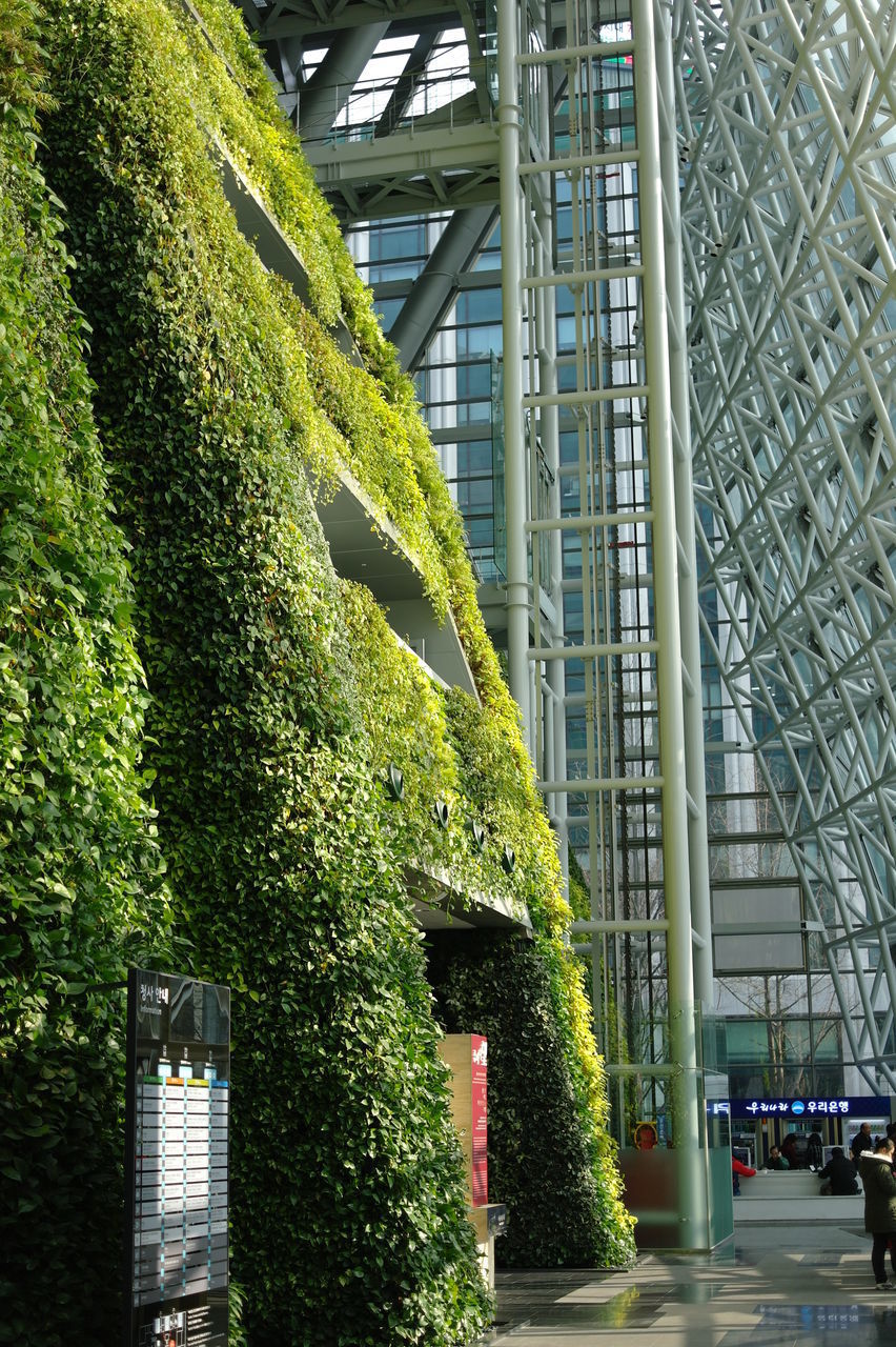 LOW ANGLE VIEW OF TREE AGAINST BUILDING