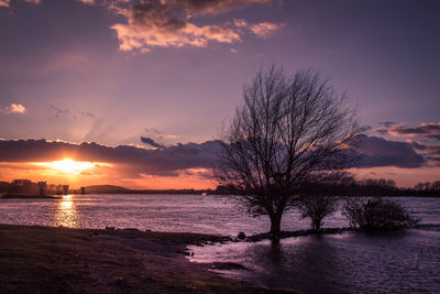 Silhouette bare tree by sea against sky during sunset