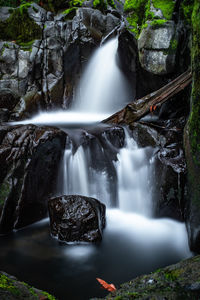 Waterfall in forest