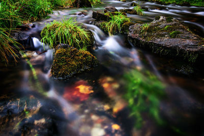 Close-up of stream flowing through rocks