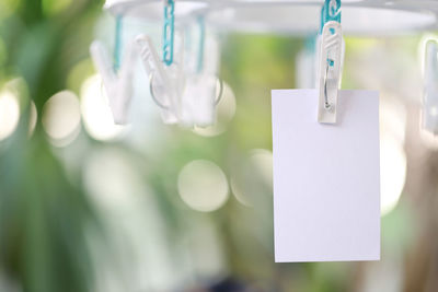 Close-up of blank paper hanging on clothesline