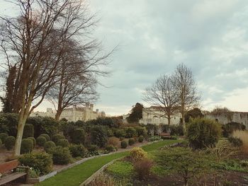 Bare trees on landscape against cloudy sky