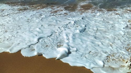 High angle view of ice on beach