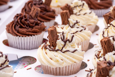 Close-up of chocolate cake on plate