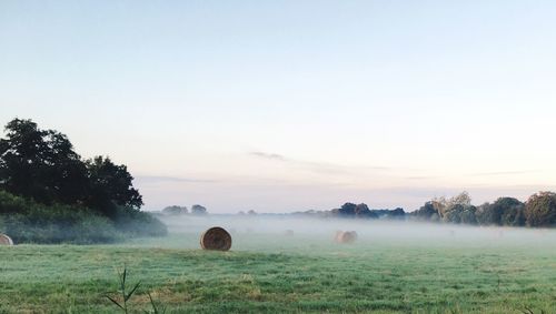 Hay bales on field against sky