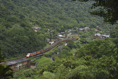 High angle view of bridge amidst trees and plants