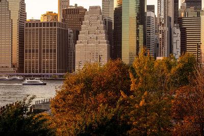 View of trees and buildings in city