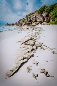 Surface level of rocks on beach against sky