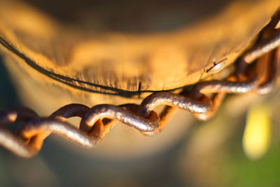 Chained on a post 