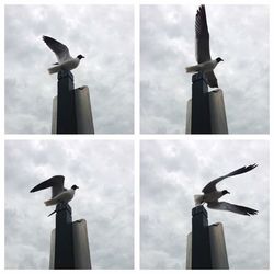 Low angle view of bird statue against sky