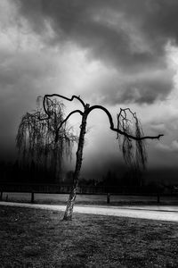 Silhouette of trees against cloudy sky