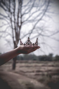 Close-up of hand holding plant against sky