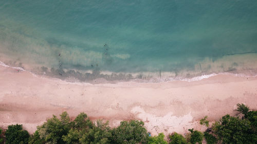 Aerial view of beach