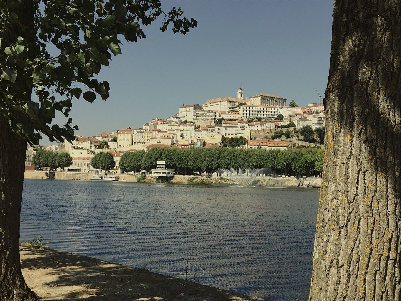 built structure, building exterior, architecture, water, tree, clear sky, city, town, river, travel destinations, blue, waterfront, day, city life, residential district, in front of, sea, no people, development, scenics, tourism, riverbank, distant