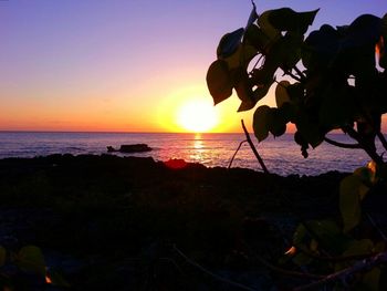 Scenic view of sea at sunset