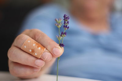 Close-up of hand holding flower