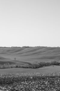 Scenic view of field against clear sky during winter