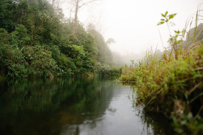 Scenic view of lake by trees against sky