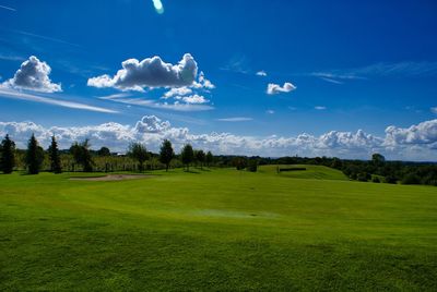 Scenic view of field against sky