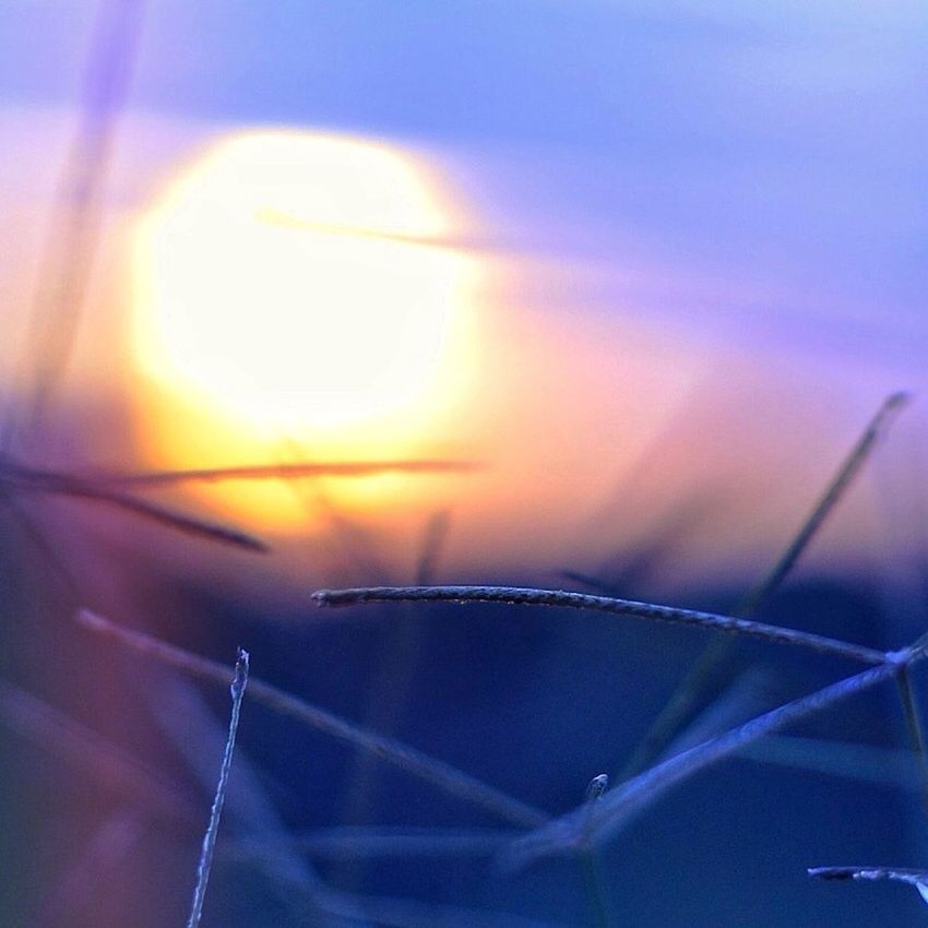 transportation, transparent, close-up, mode of transport, glass - material, part of, vehicle interior, blue, airplane, lens flare, no people, air vehicle, cropped, sky, window, indoors, car, nature, sunset, drop