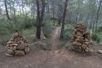 Stack of stones in forest