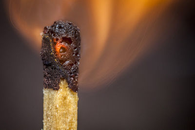 Close-up of burnt matchstick