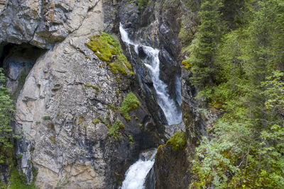 Scenic view of waterfall in forest