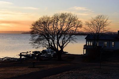 Silhouette bare tree by sea against sky during sunset