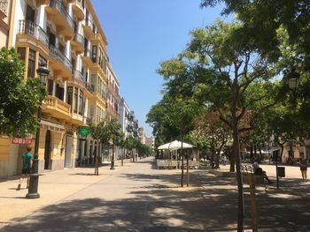 Street amidst trees and buildings against sky