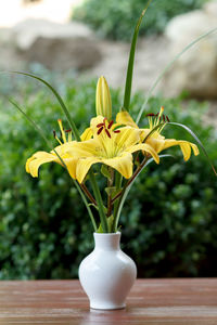 Close-up of yellow flower pot on table