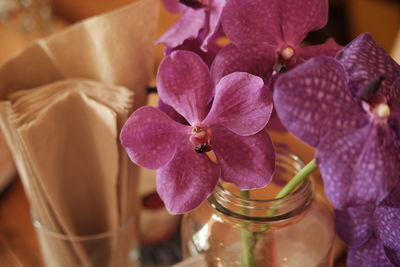 Close-up of pink orchid flowers in jar