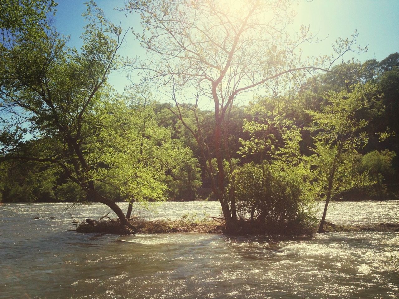 French Broad River Campground