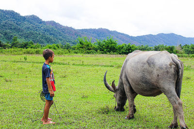 Full length of boy standing by buffalo on field