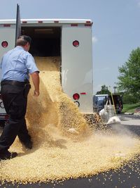 Rear view of man on street