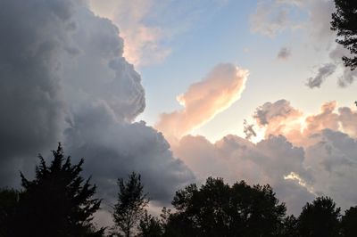 Low angle view of trees against sky during sunset