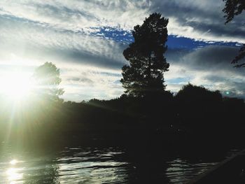 Scenic view of trees against sky